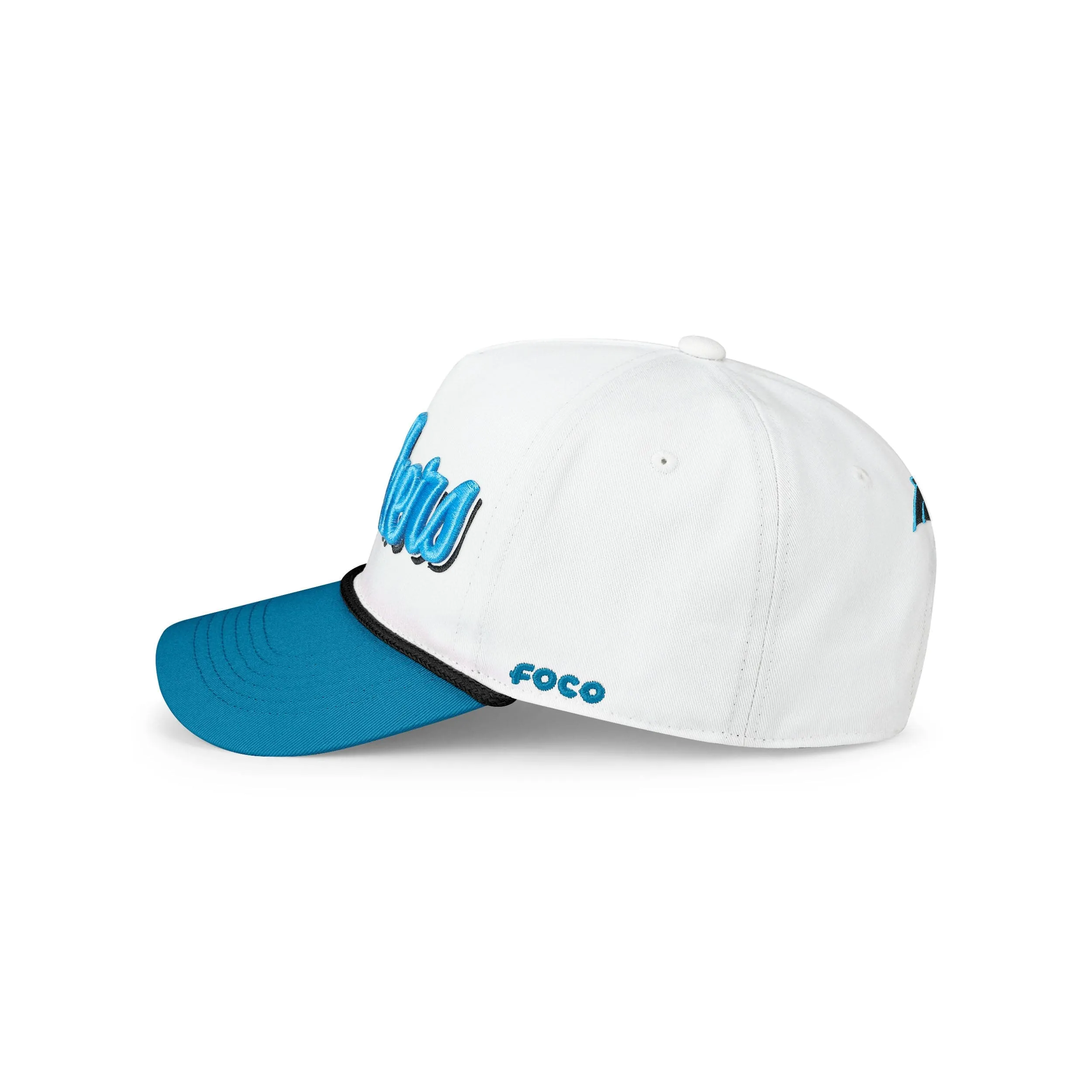 Carolina Panthers NFL Monty Script Marquee RF Cap