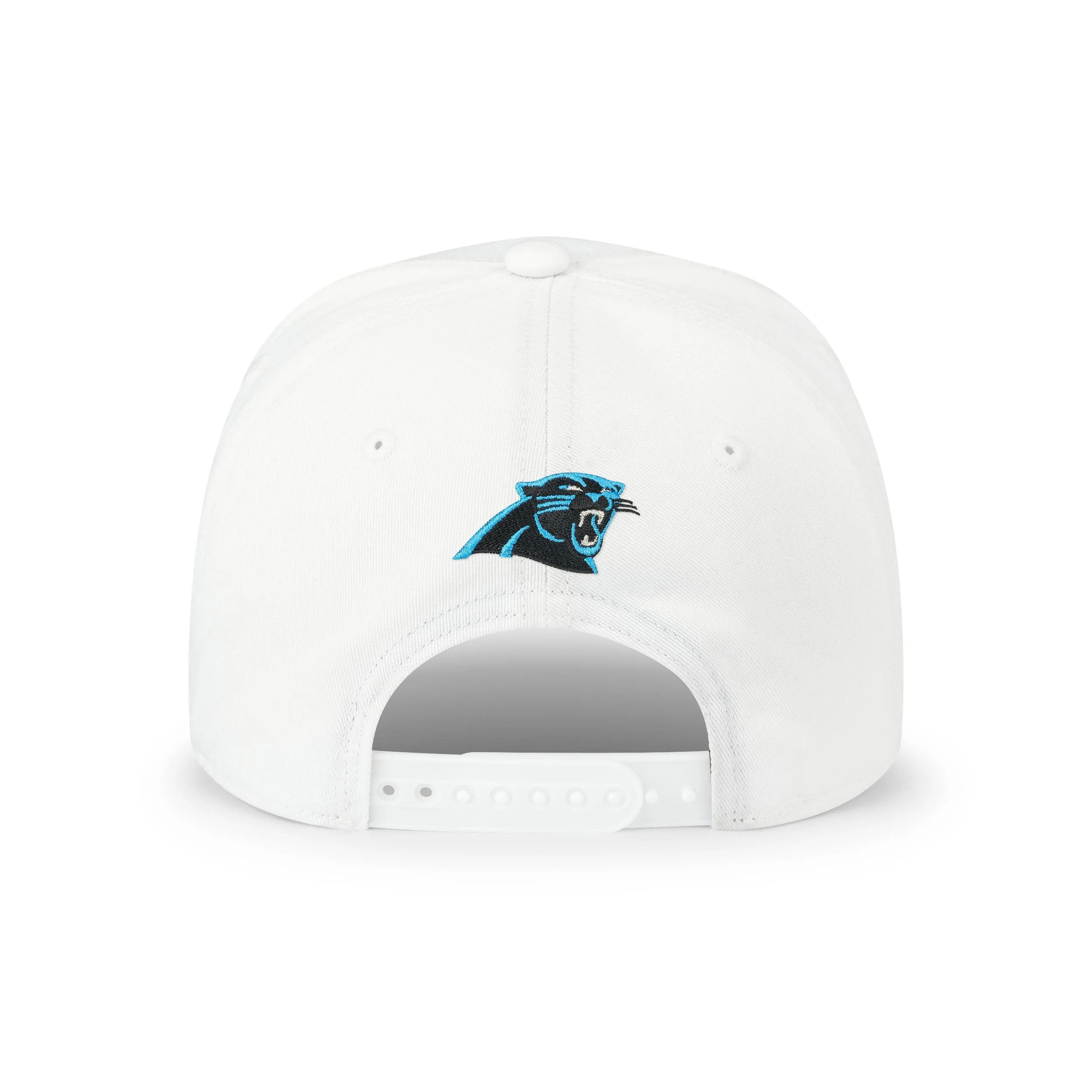 Carolina Panthers NFL Monty Script Marquee RF Cap